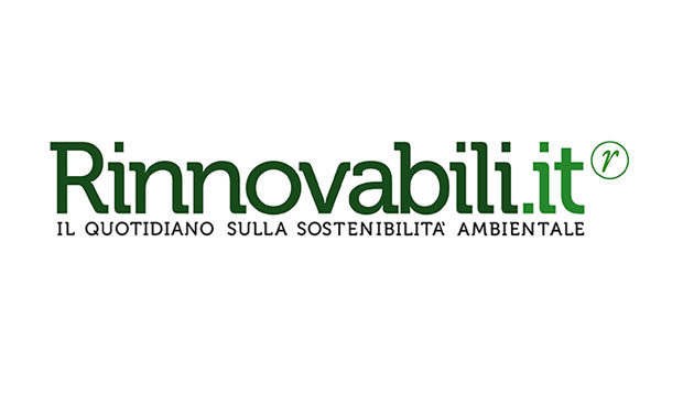 Entro il 2050 metà della produzione energetica sarà rinnovabile